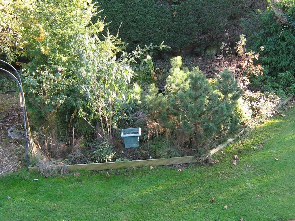 Savannah Bed And Breakfast Virginia Water Buitenkant foto